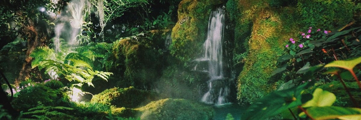 Waterfall surrounded by greenery