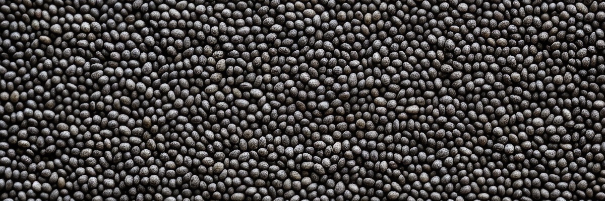 dark coloured seeds